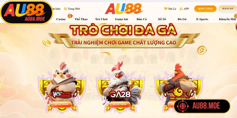 Đá gà AU88 mang đến sảnh chơi trực tuyến chất lượng, uy tín